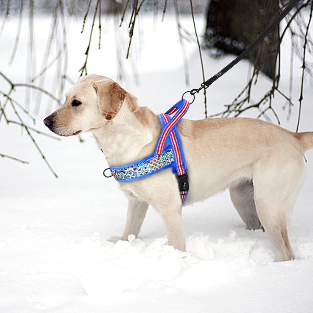 Warm Dog Harness Vest Winter Dog Harnesses Soft Padded Pet Training Harnesses Vests Adjustable for Small Large Dogs Bulldog Pug